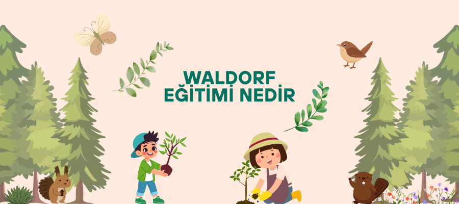 Waldorf Eğitimi
